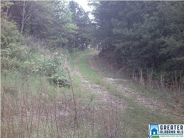 Co Rd 919 - Photo 1