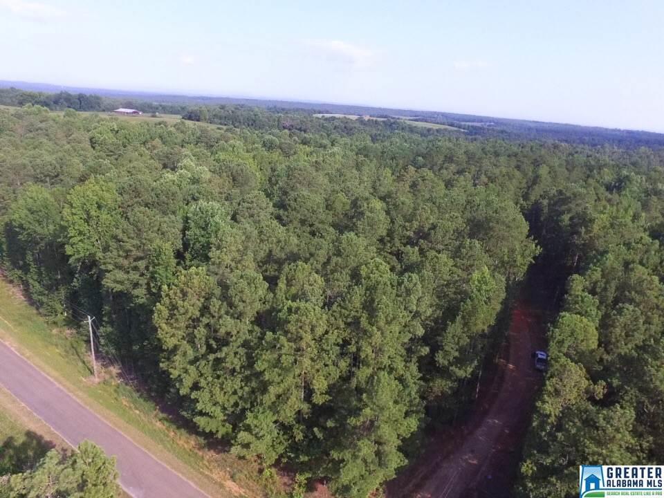 0 Co Rd 618 - Photo 1