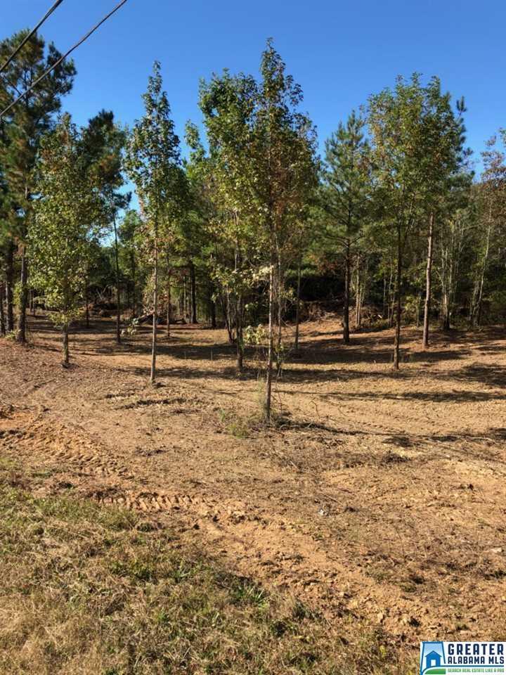 Lot 3 Old Hwy 280 - Photo 1