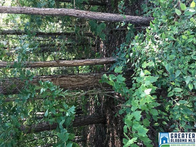 7047 Hwy 119 - Photo 1