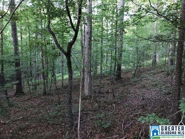 0 Settlers Ridge Rd - Photo 1