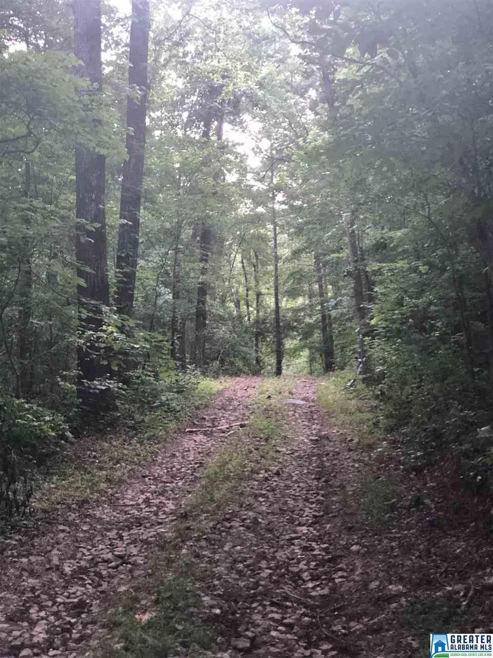 8442 Will Keith Rd - Photo 1