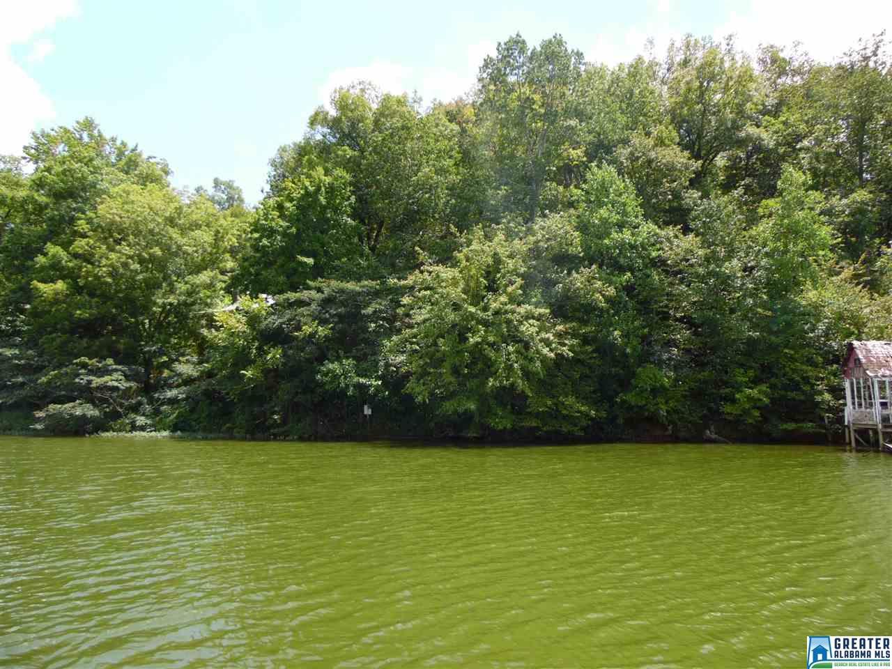 0 Shelton Shores Dr - Photo 1