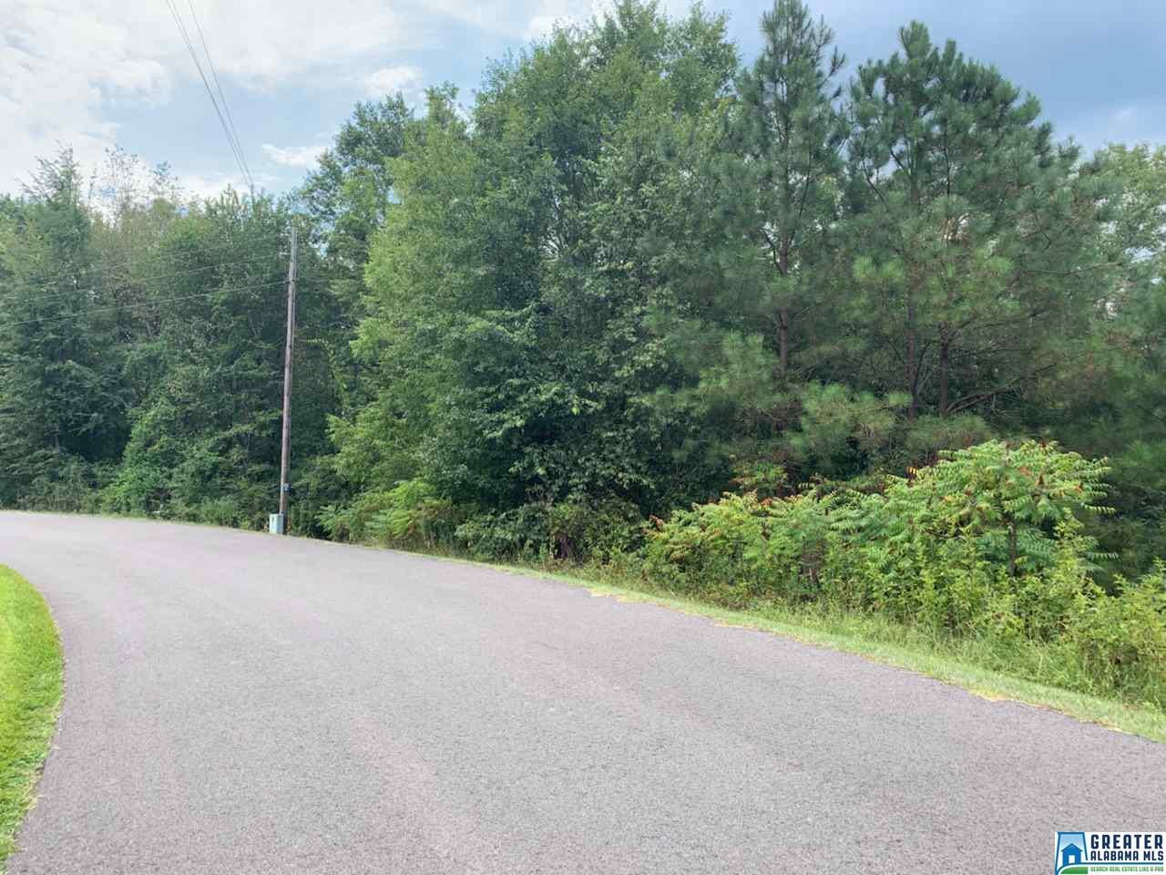 0 4TH AVE - Photo 1