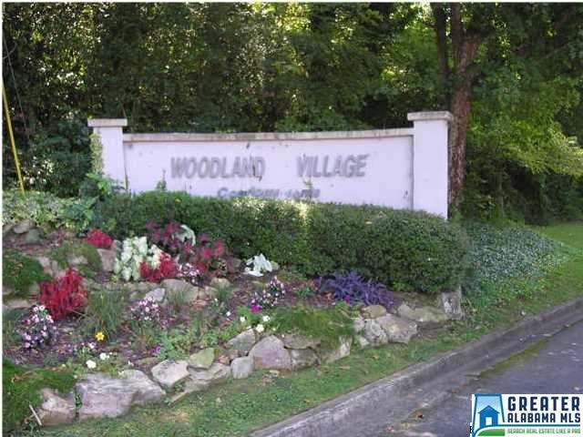 1017 Woodland Village - Photo 1