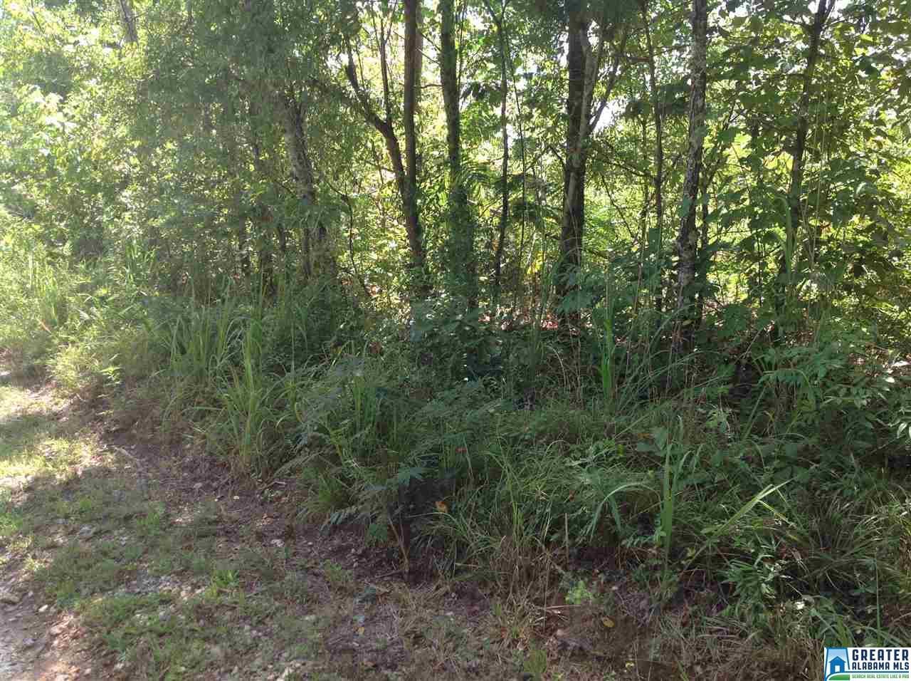 0 Williams Rd - Photo 1