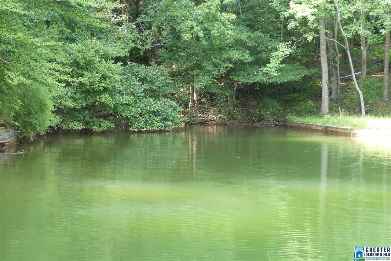 LOT 6 Co Rd 804 - Photo 1