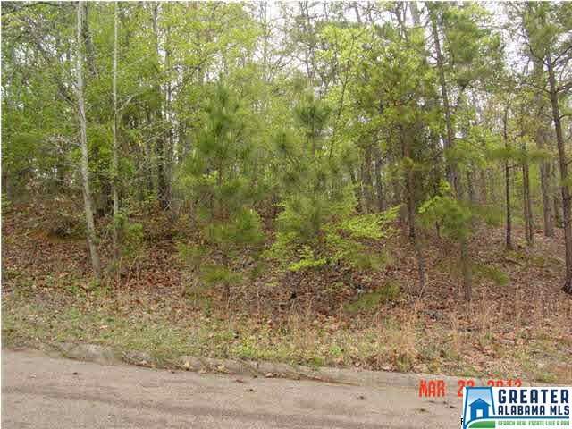 0 Timothy Dr - Photo 1