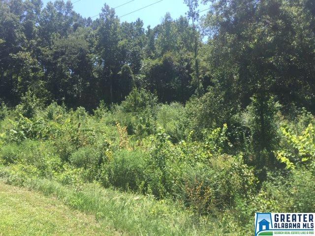 0 Co Rd 51 - Photo 1