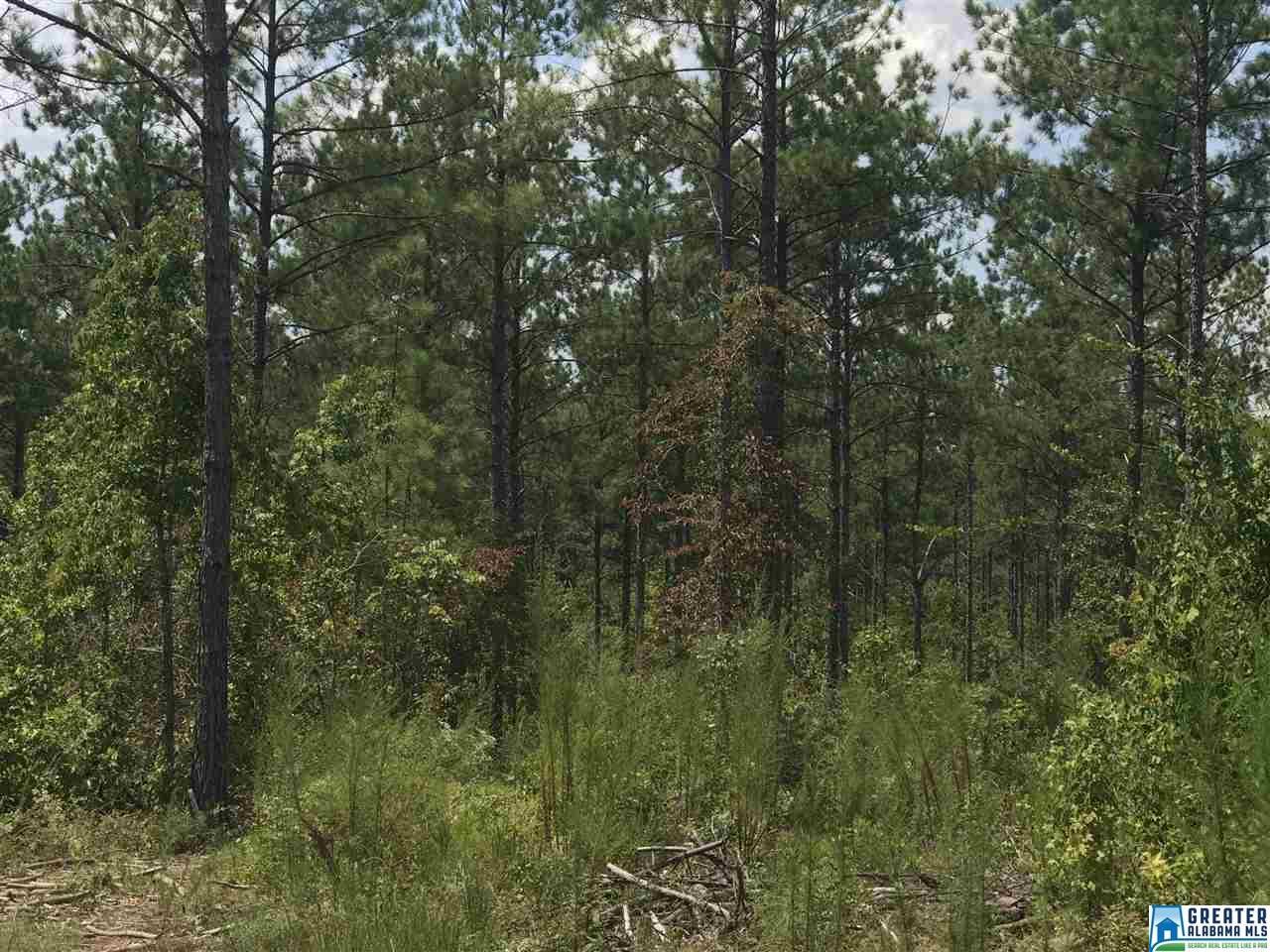0 Co Rd 454 - Photo 1
