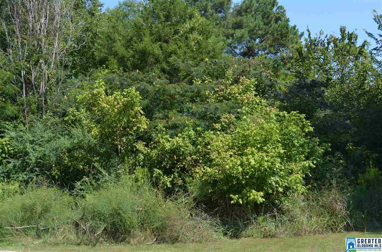 1034 Chalkville School Rd - Photo 1