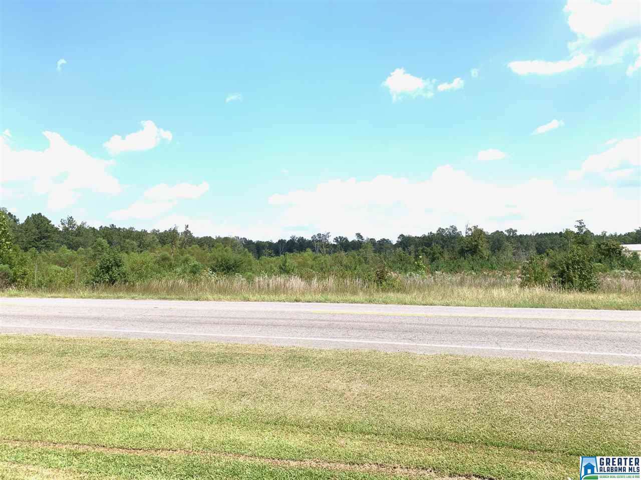 Hwy 231 - Photo 1
