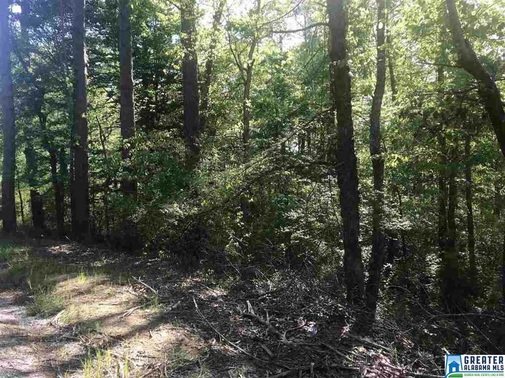7240 Lowetown Rd - Photo 1