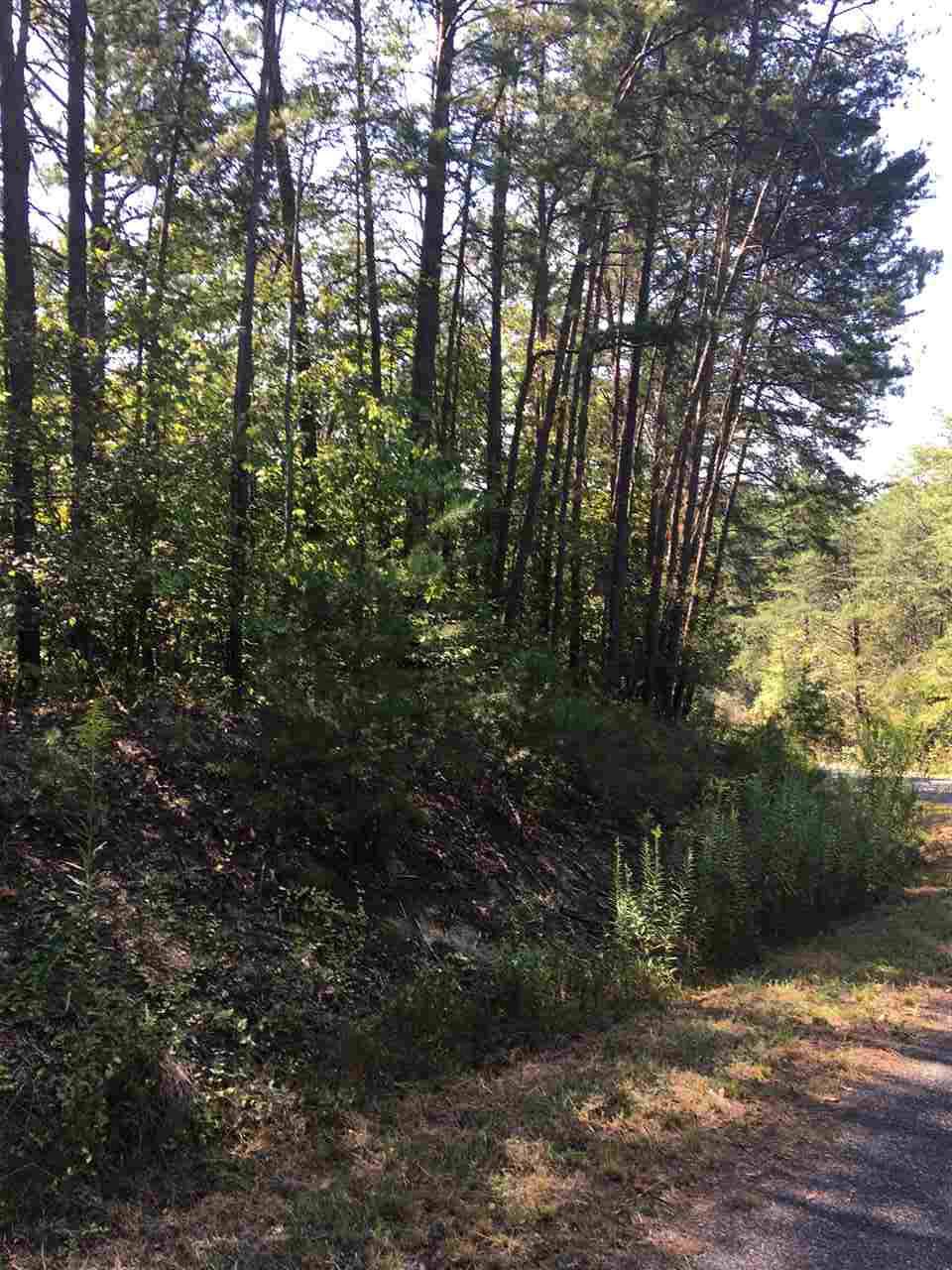 1451 Starview Dr - Photo 1