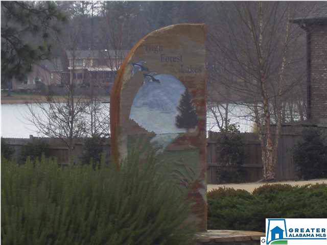 5916 High Forest Dr - Photo 1