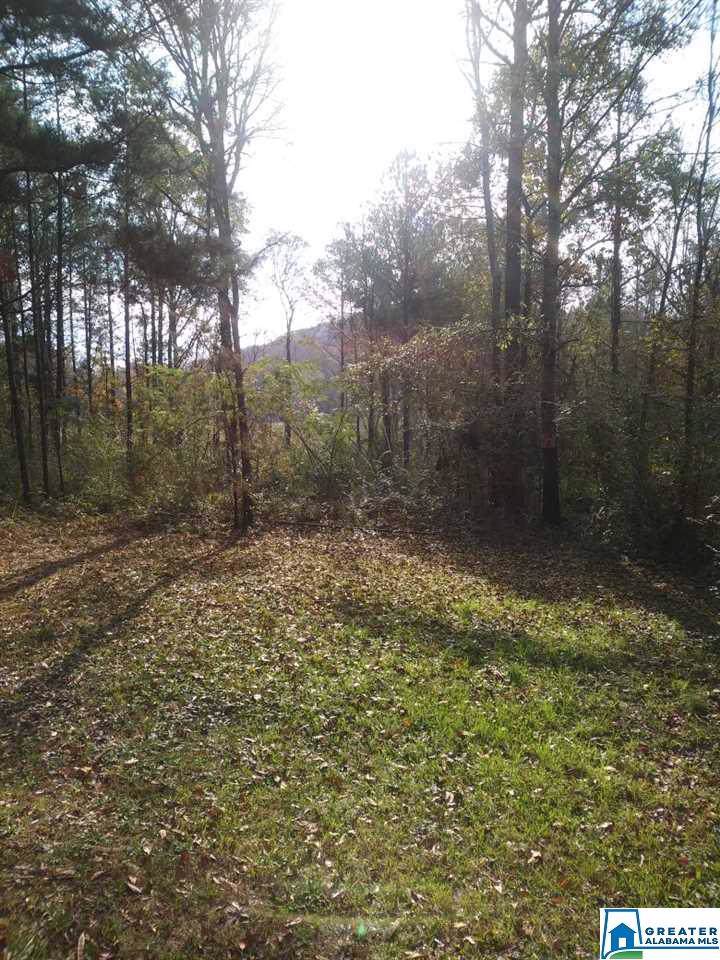 1090 Toadvine Rd - Photo 1 1090 Toadvine Rd - Photo 1
