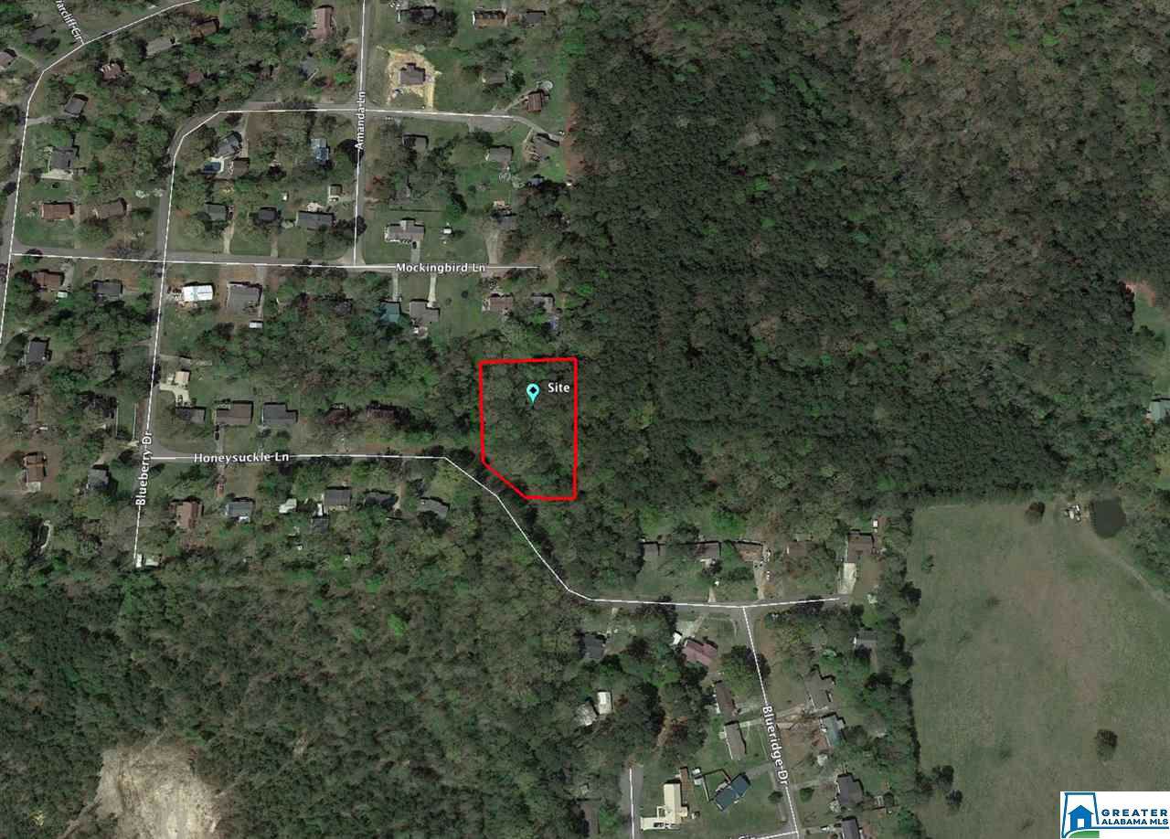 Lot 31 Honeysuckle Ln - Photo 1 Lot 31 Honeysuckle Ln - Photo 1