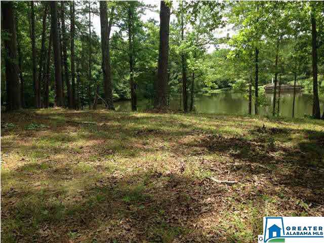 135 Emerald Lake Dr - Photo 1