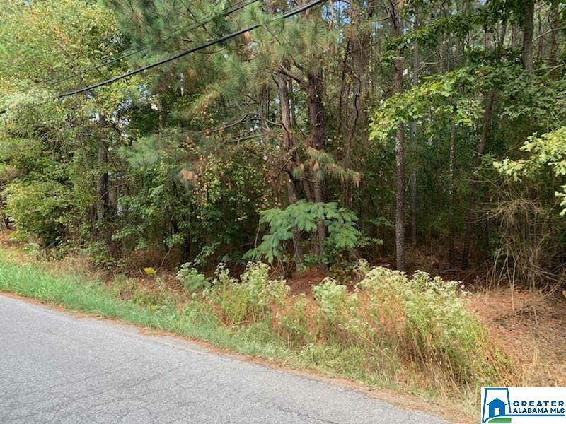 3214 Churchview Way - Photo 1