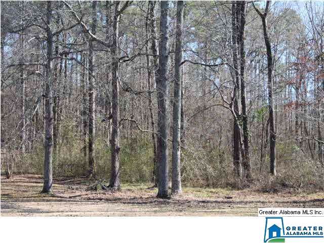 0 Pine Haven Ln - Photo 1