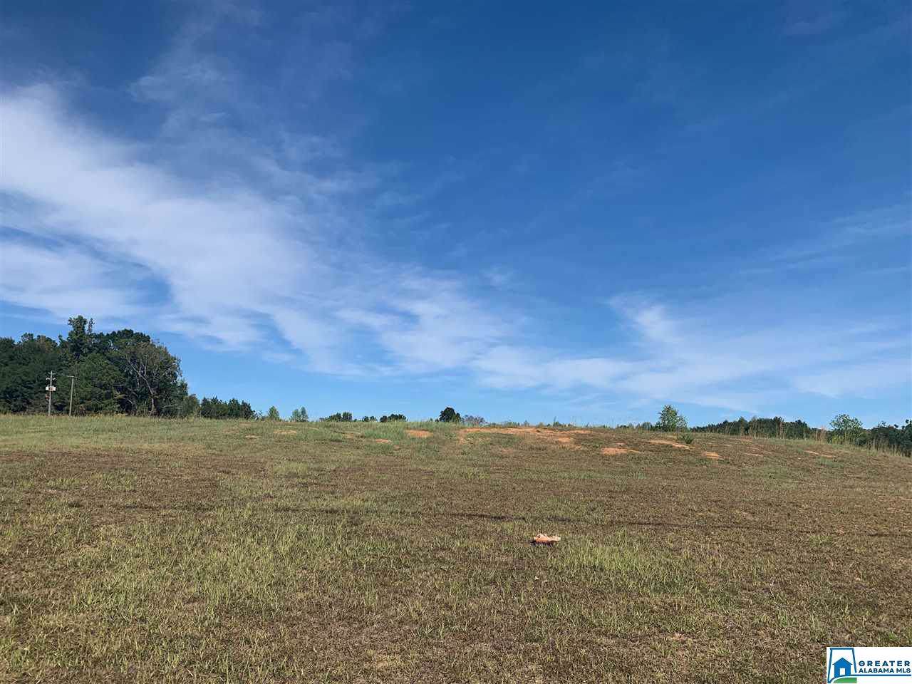 0 Hwy 31 - Photo 1