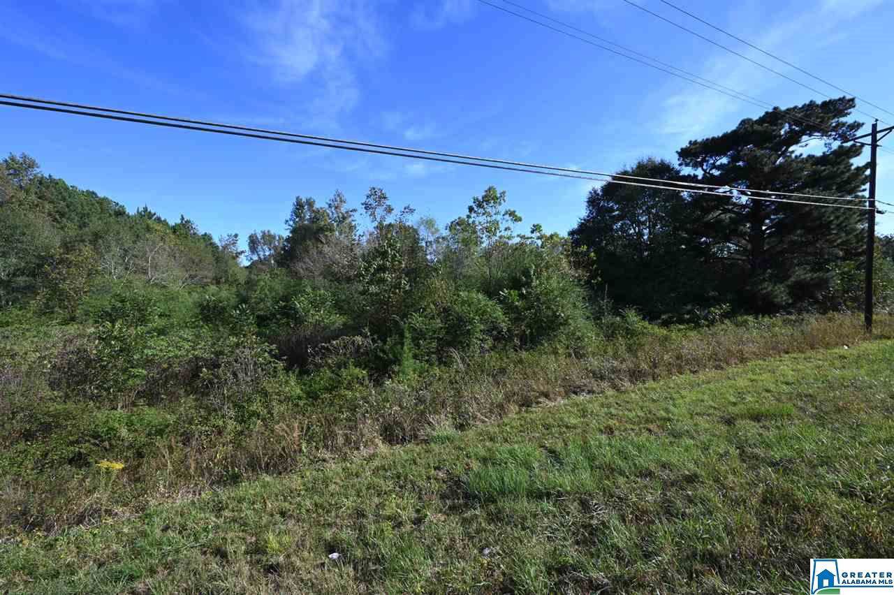 0 Hwy 278 - Photo 1