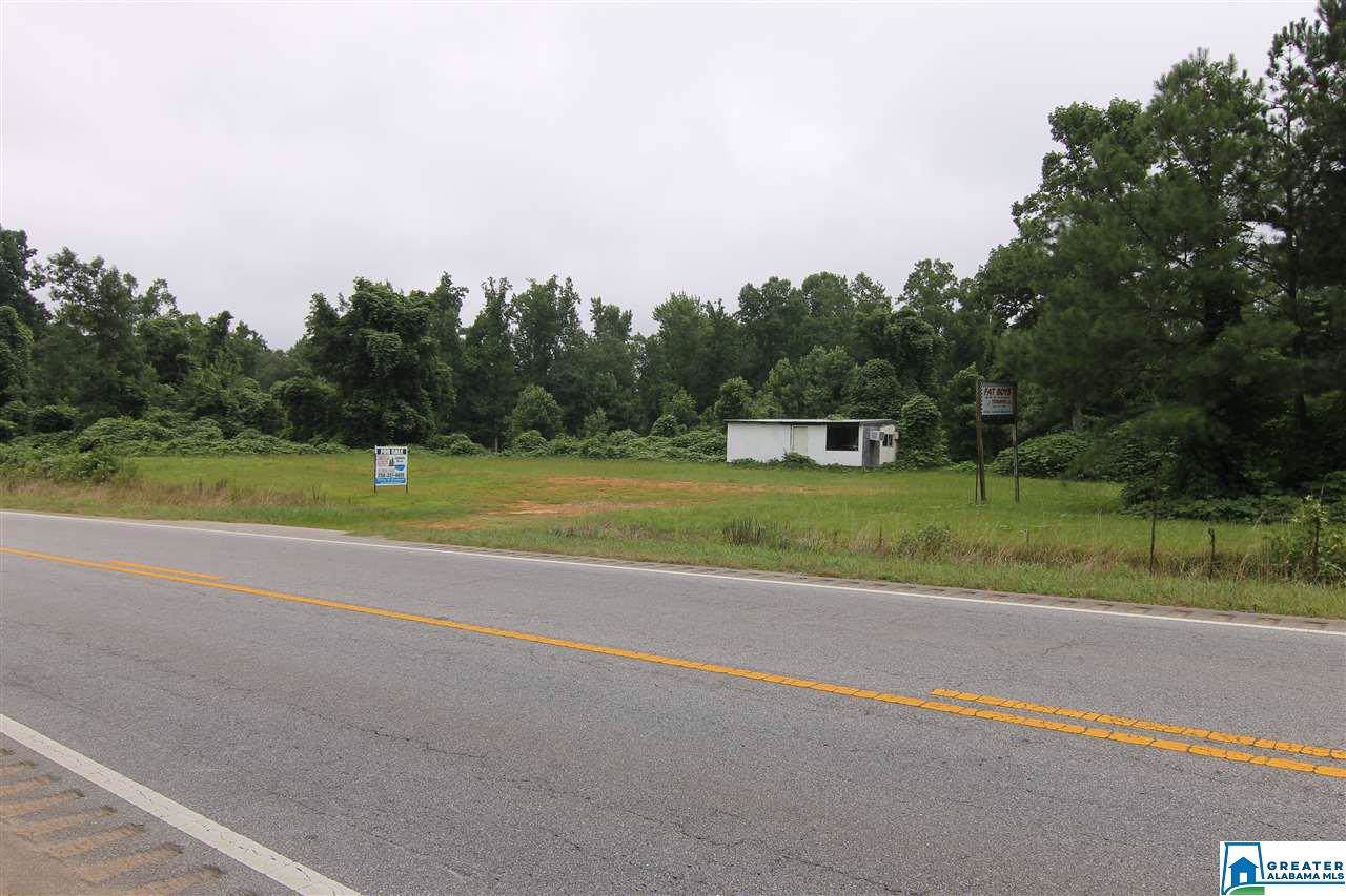 Hwy 431 - Photo 1