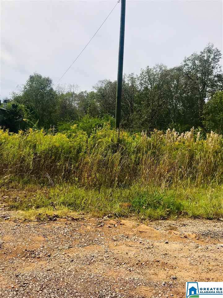 9317 Cedar Hill Rd - Photo 1