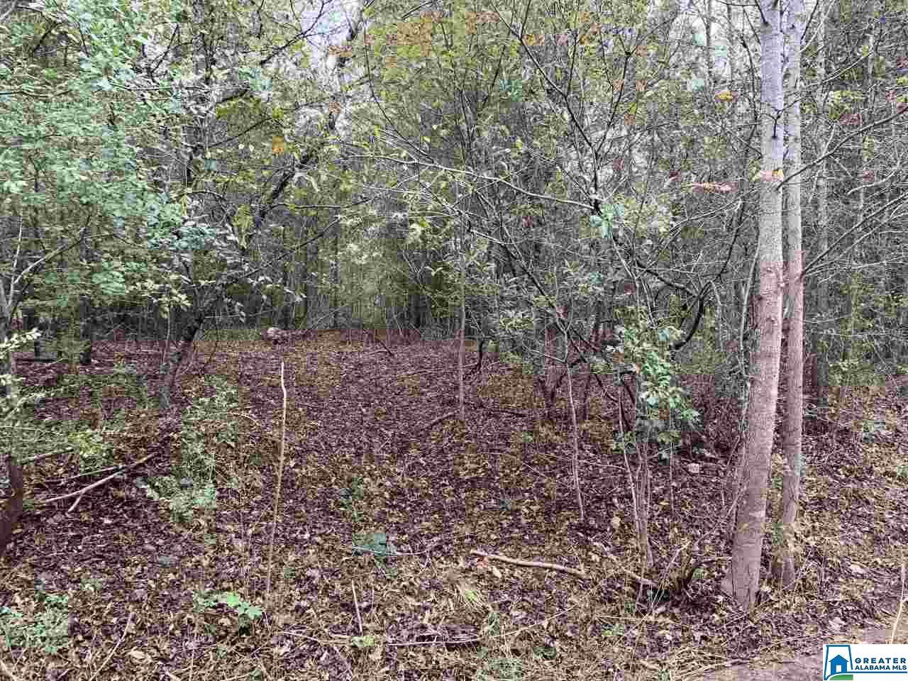 0 Tomahawk Trl - Photo 1
