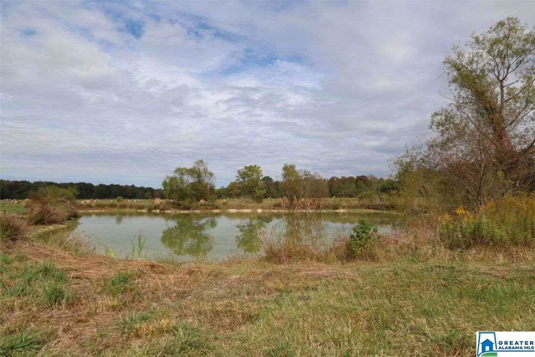 0 Hwy 411 - Photo 1