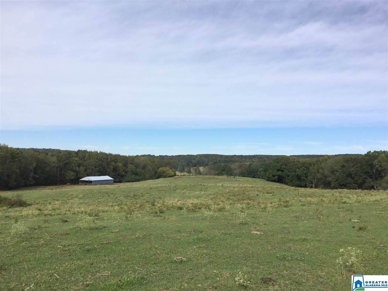 0 Hwy 231 - Photo 1