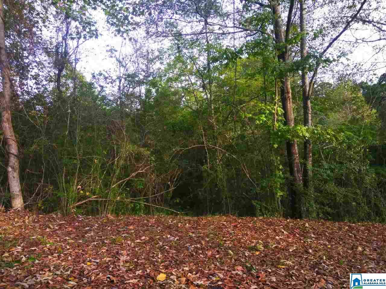 344 Sky Line Dr - Photo 1