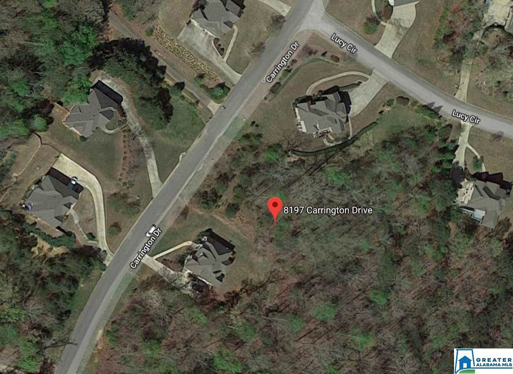 8197 Carrington Dr - Photo 1