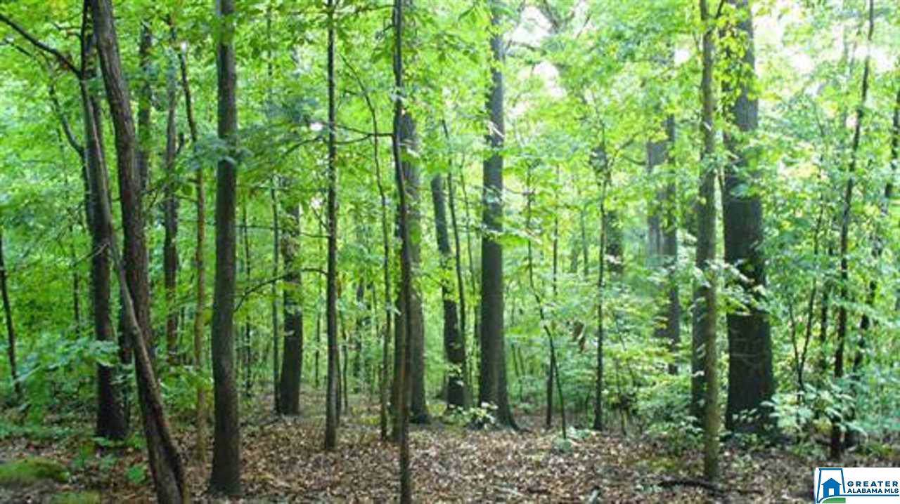 Lot 20 Sylvia Dr - Photo 1