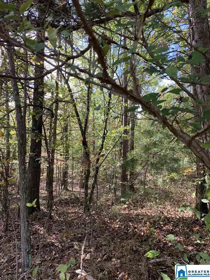 25741 Hwy 79 - Photo 1