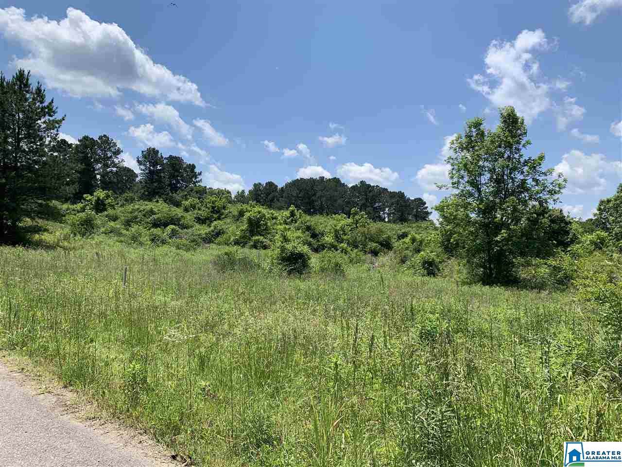 0 Shady Point Rd - Photo 1