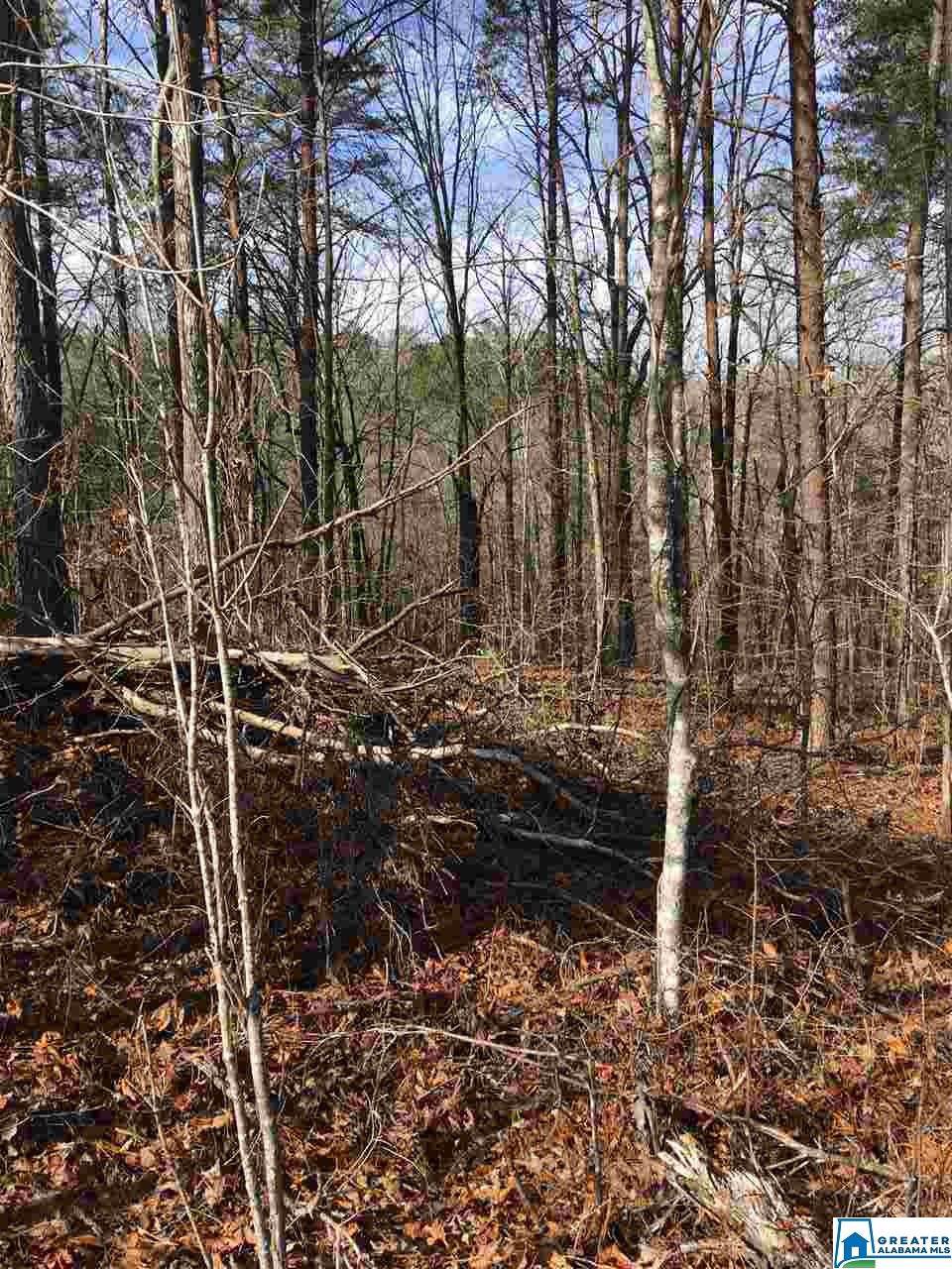 0 Blount Ridge Dr - Photo 1