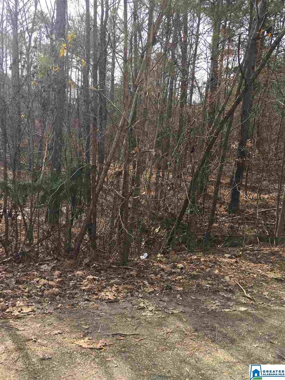 0 Blount Ridge Dr - Photo 1