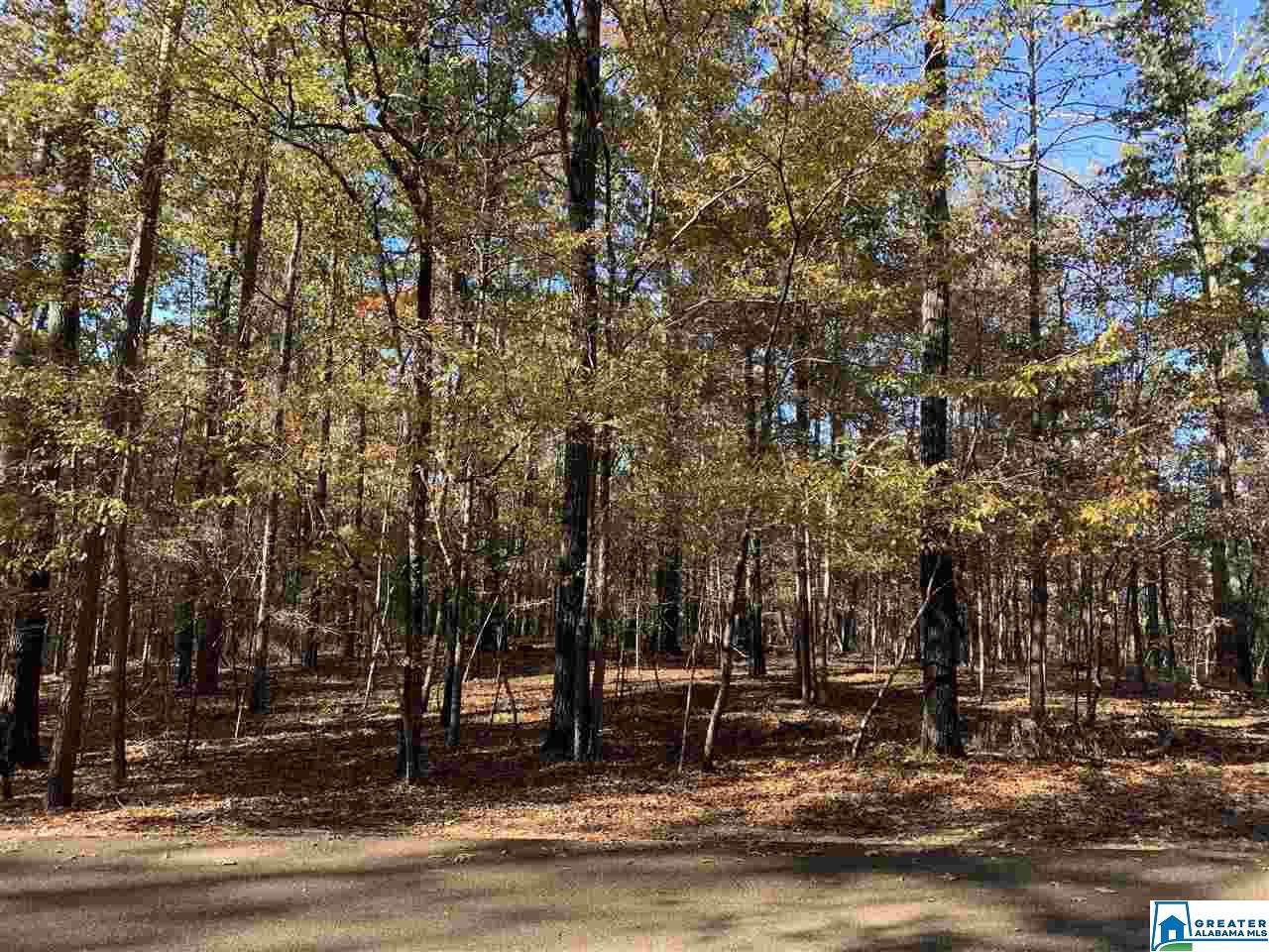 4 Augusta Way - Photo 1