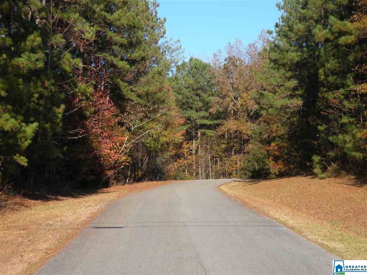 Stone Briar Dr - Photo 1