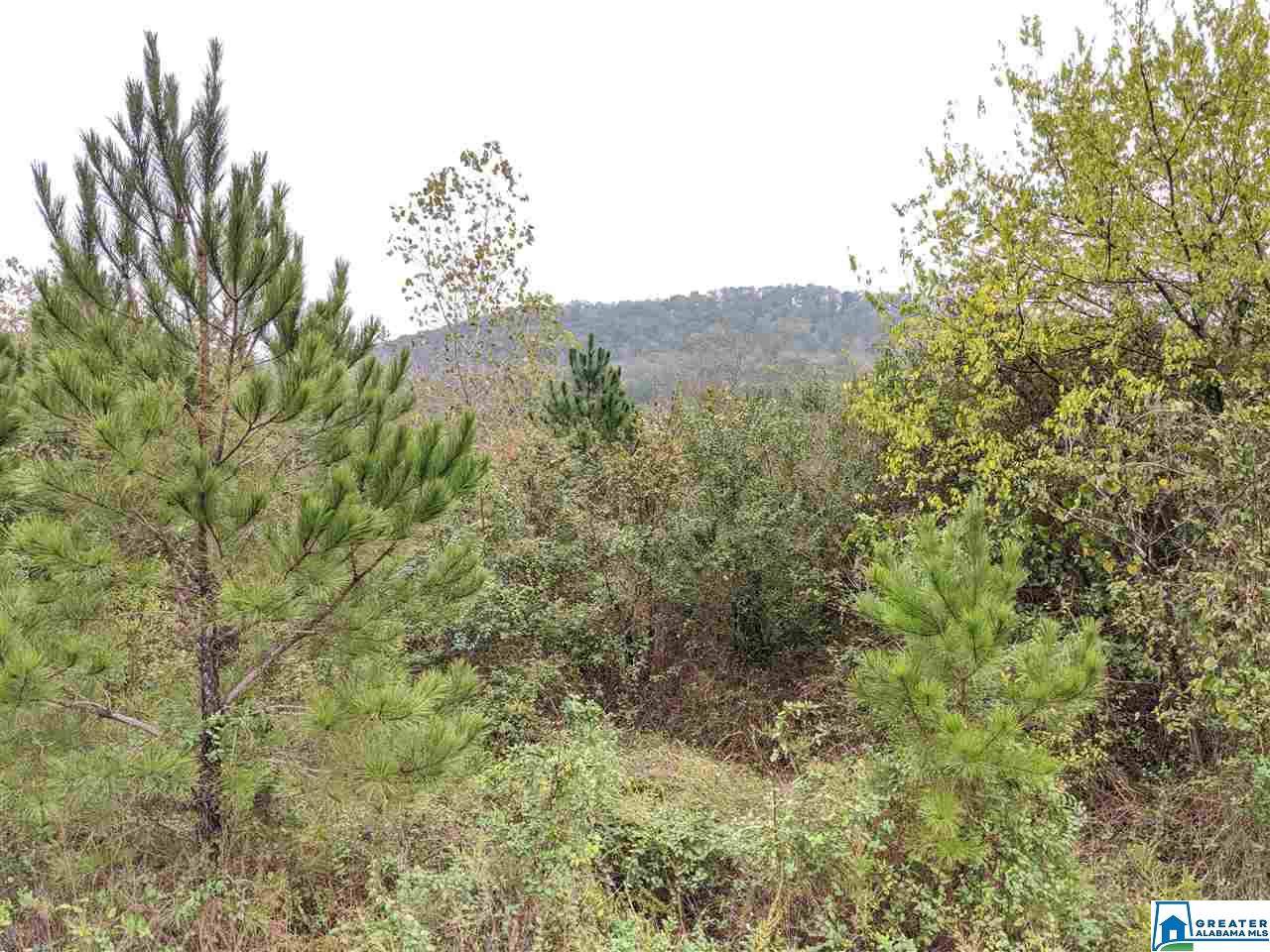 Old Scott Rd - Photo 1