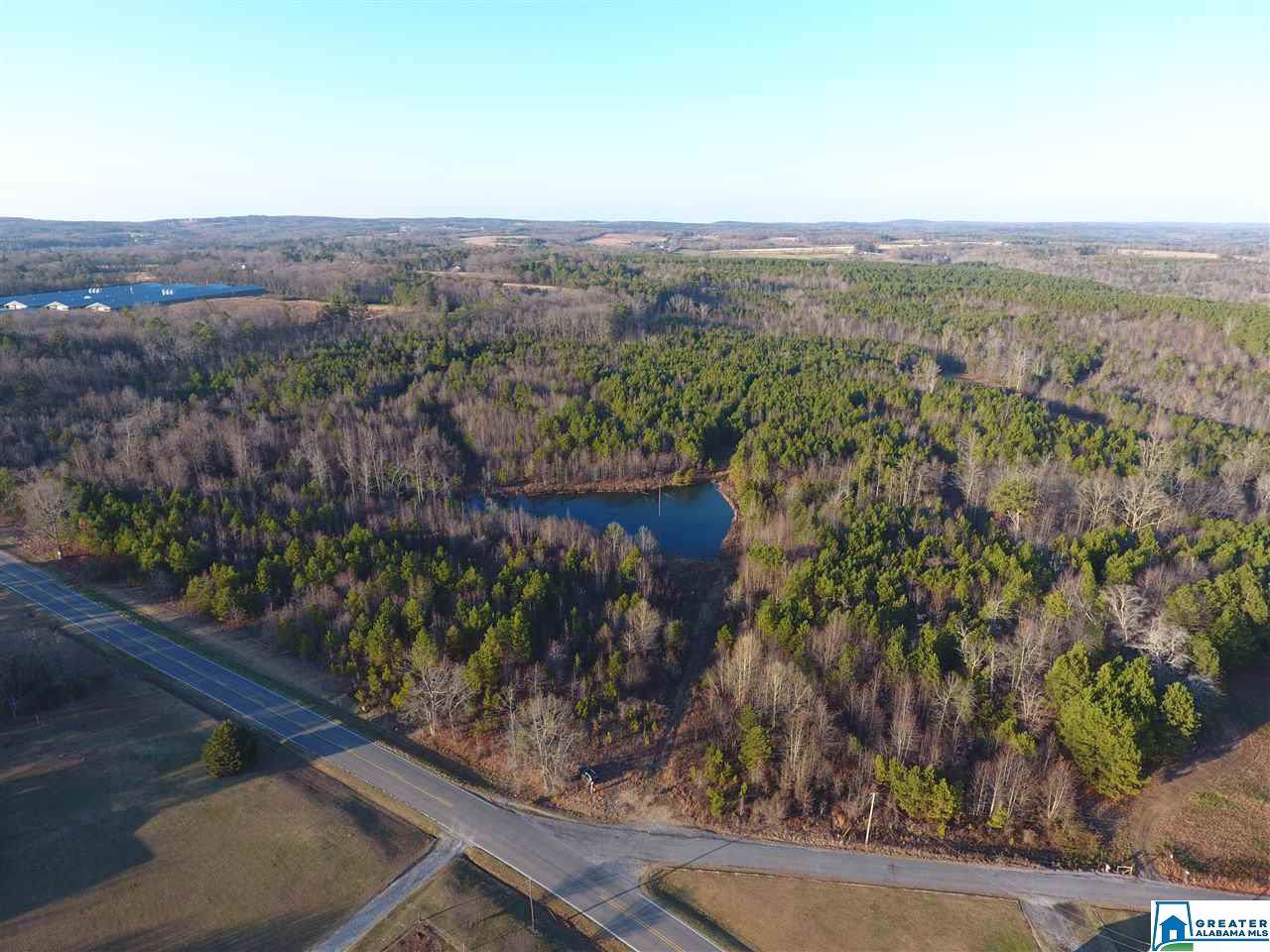 14550 Hwy 176 - Photo 1
