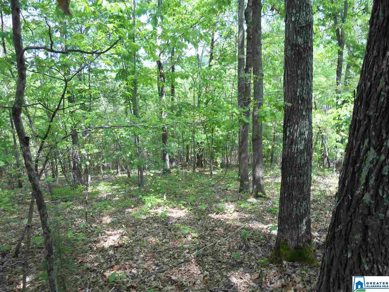 305 Pleasant Acres Trl - Photo 1