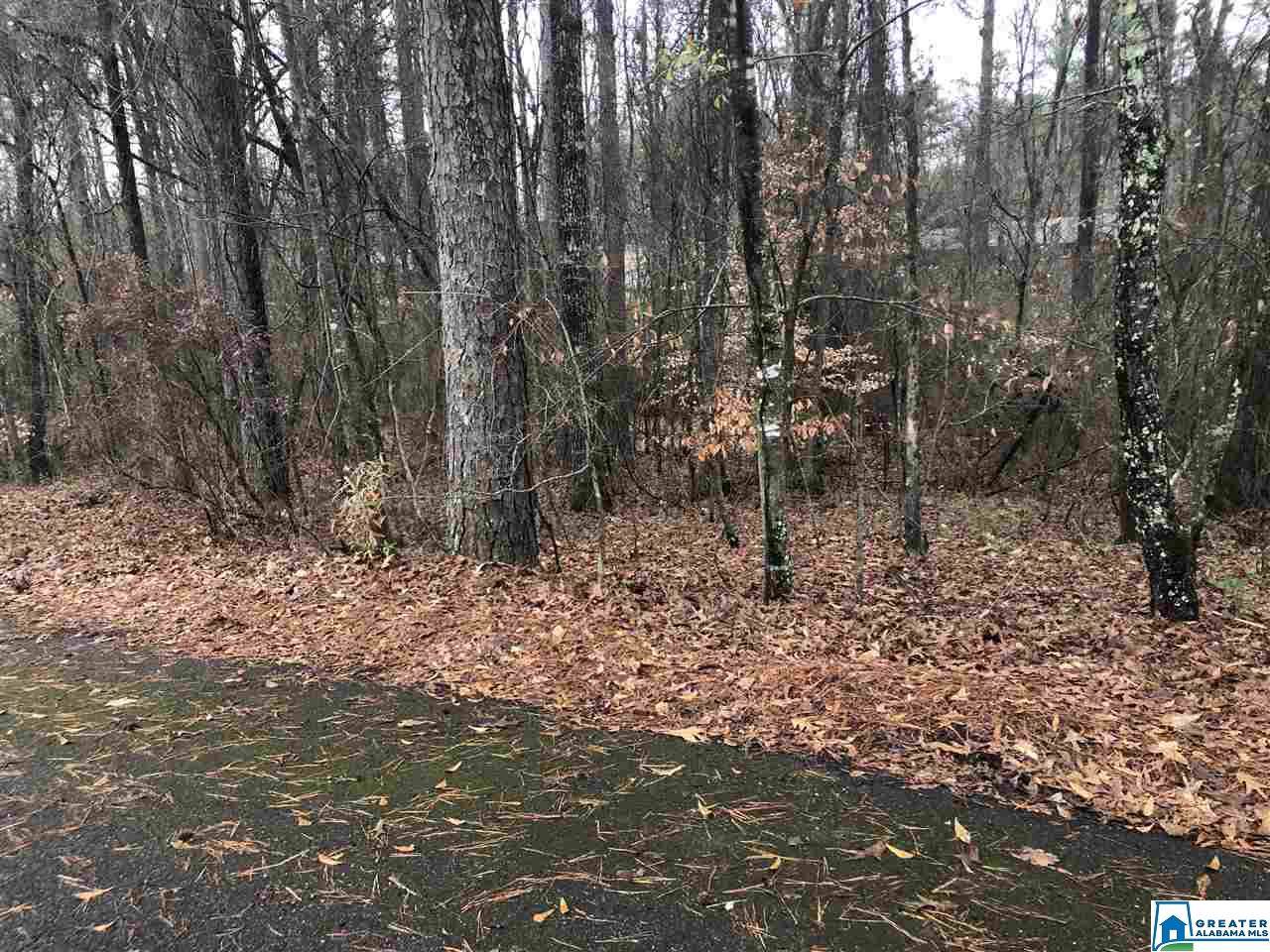 3626 Trammell Dr - Photo 1 3626 Trammell Dr - Photo 1