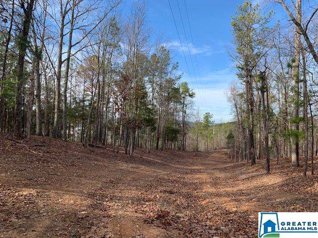 2075 Lake Robin Cir - Photo 1