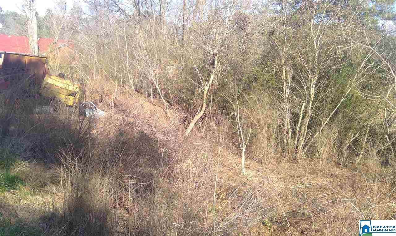 2400 Warrior Trafford Rd - Photo 1