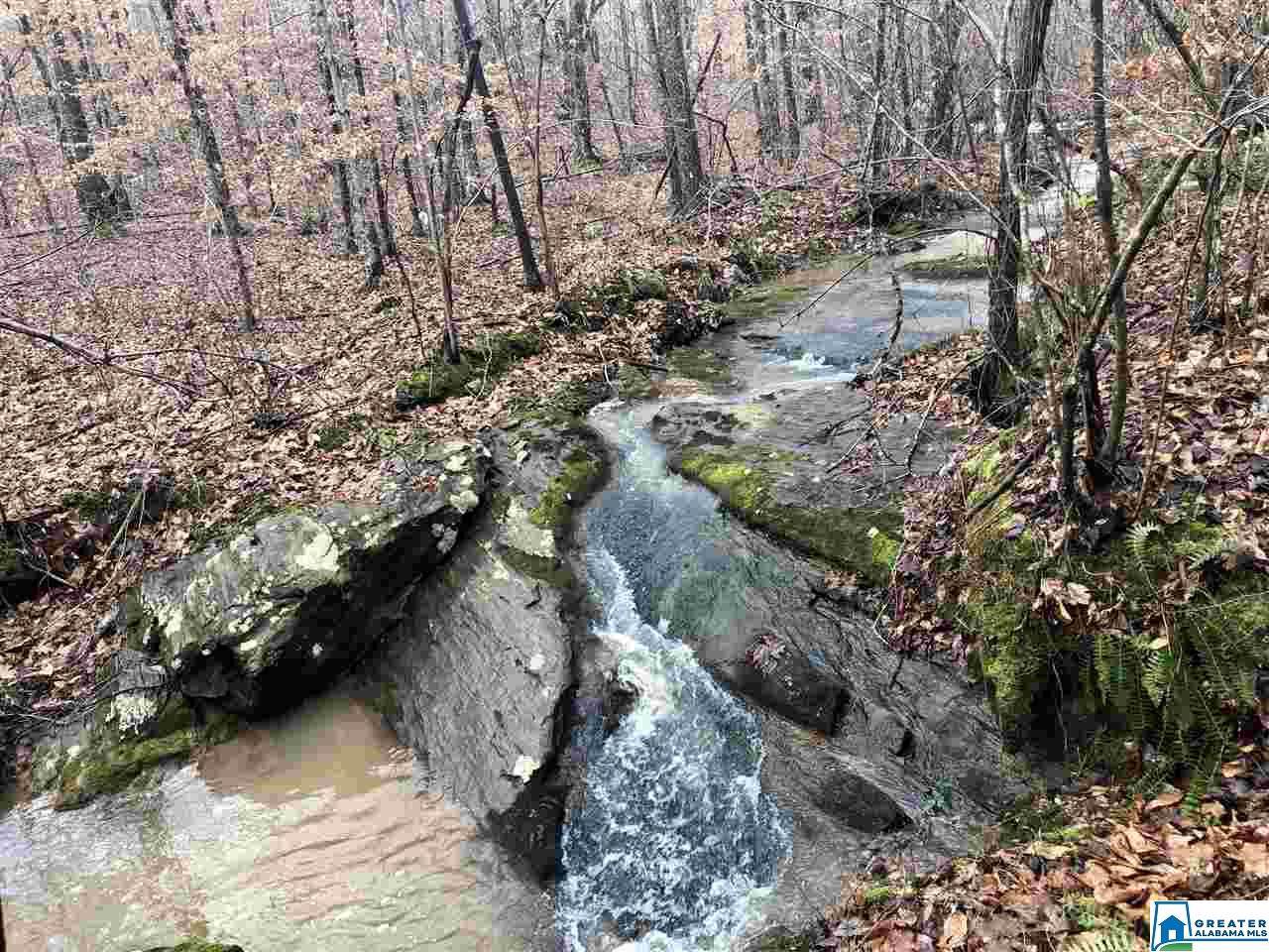 346 Co Rd 539 - Photo 1
