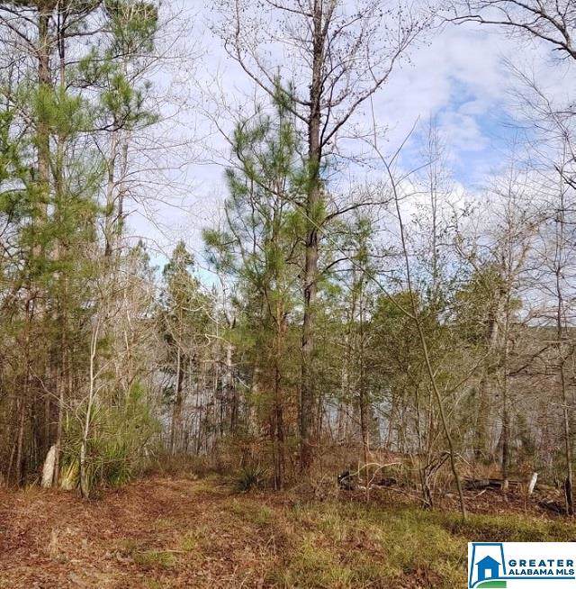 1227 Shortown Branch Rd - Photo 1 1227 Shortown Branch Rd - Photo 1