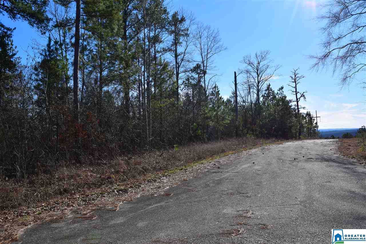 Lot 21 & 22 Co Rd 299 - Photo 1