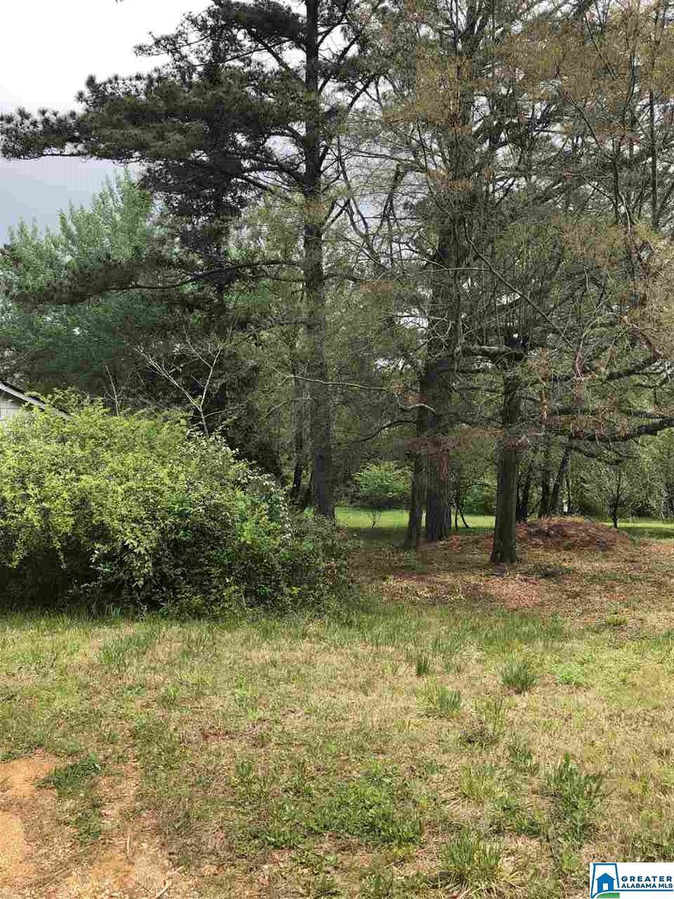 215 Looney Rd - Photo 1